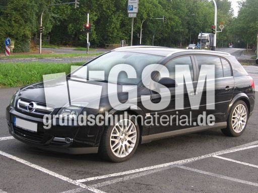 Opel Signum_2.JPG